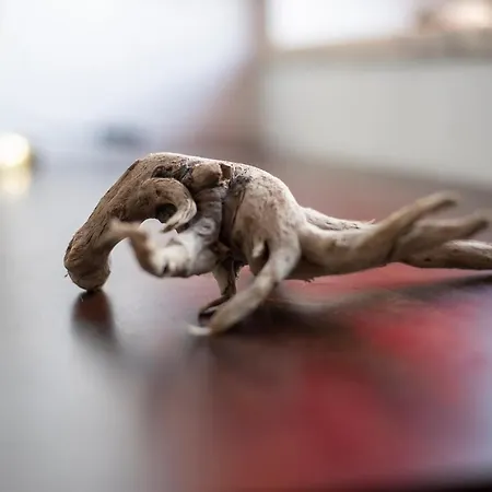 Εξοχικό σπίτι Hillside 2 Old Town Aljezur